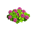Clover - Zombie Island