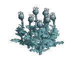 Apple Poppy - Zombie Island