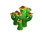 Cactus - Zombie Island