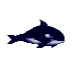 Tara - Ecco Jr.