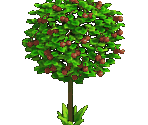 Cherry Tree - Zombie Island