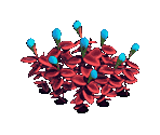Maraca - Zombie Island
