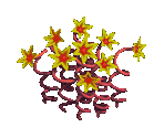 Spiral - Zombie Island