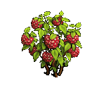 Raspberries - Zombie Island