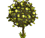 Lemon - Zombie Island