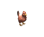 Chicken - Big Farm Theory