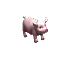Pig - Big Farm Theory
