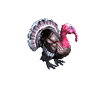 Turkey - Big Farm Theory