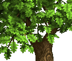 Trees 3 - Big Farm Theory