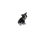 Cat - Big Farm Theory