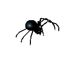 Arachne - Arcanum