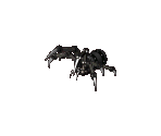 Mechanical Spider - Arcanum