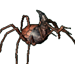 Spider Queen - Arcanum