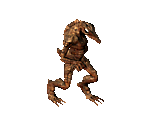 Lizard - Arcanum