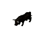 Bull - Arcanum