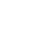 Air Elemental - Arcanum