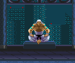 Level 5 Boss Area - The Ninja Warriors / Ninja Warriors Again