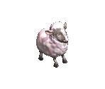 Sheep - Big Farm Theory