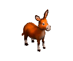 Donkey - Big Farm Theory