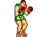 Bison - Master Fighter 6' (Bootleg)