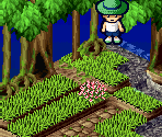 Tiles - Beetle King