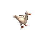 Goose - Big Farm Theory