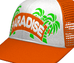 Head Accessories - Dead or Alive Paradise