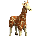 Giraffe - Big Farm Theory