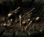 Bones - Arcanum