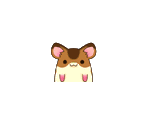 Hamster Profile Icons - Hamsterz Life