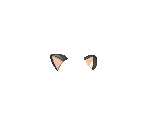 Cat Ears - The Guided Fate Paradox