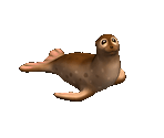Sea Lion - Big Farm Theory