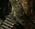 Jungle - Arcanum