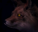 Events (Part 2) - Twilight Syndrome: Kinjirareta Toshi Densetsu