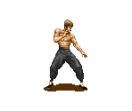 Fei Long - Super Street Fighter II: The New Challengers