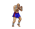 Sagat - Street Fighter II: The World Warrior / Street Fighter II Turbo: Hyper Fighting
