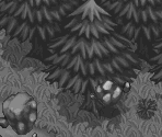 Dusk Forest Entrance - Pokémon Mystery Dungeon: Explorers of Time / Darkness
