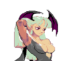 Win / Lose Portraits - Darkstalkers: The Night Warriors