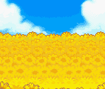 Sunflower Field - Mother 3 (JPN)
