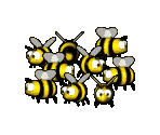 Bees - Conker's Bad Fur Day