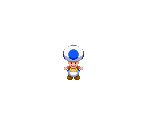 Toad (Blue) - Mario & Luigi: Dream Team