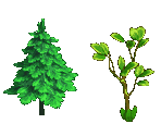 Trees 1 - Zombie Island