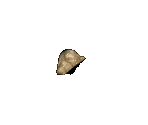 Crepitus Larva - Jagged Alliance 2