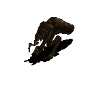 Adult Crepitus - Jagged Alliance 2