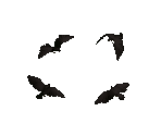 Raven - Jagged Alliance 2