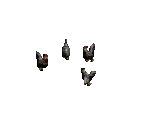 Chicken - Diablo 2 / Diablo 2: Lord of Destruction
