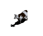 Cow - Jagged Alliance 2