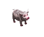 Zebrapig - Big Farm Theory