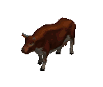 Cow - Diablo 2 / Diablo 2: Lord of Destruction