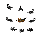 Scorpion - Diablo 2 / Diablo 2: Lord of Destruction